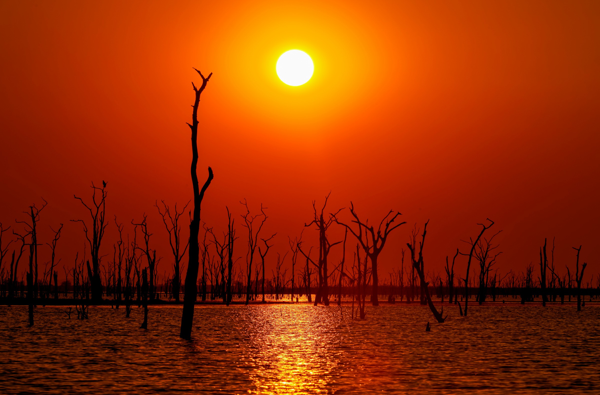 Kariba Sunset (1)