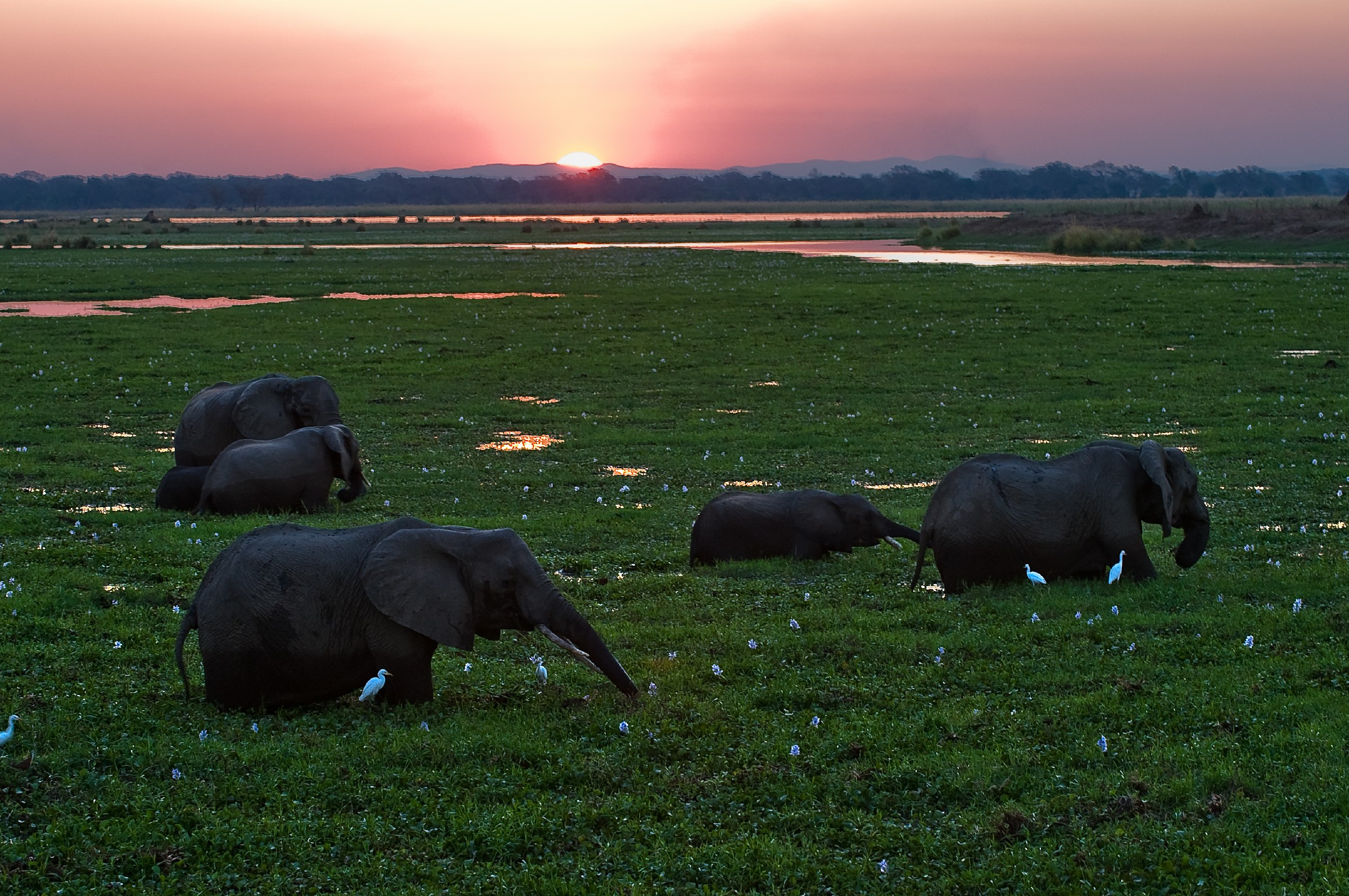 Mana Pools