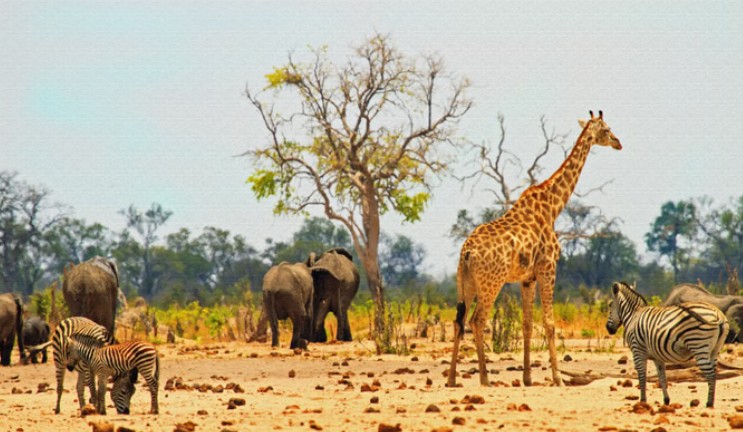 Screenshot 2025-10-08 201635